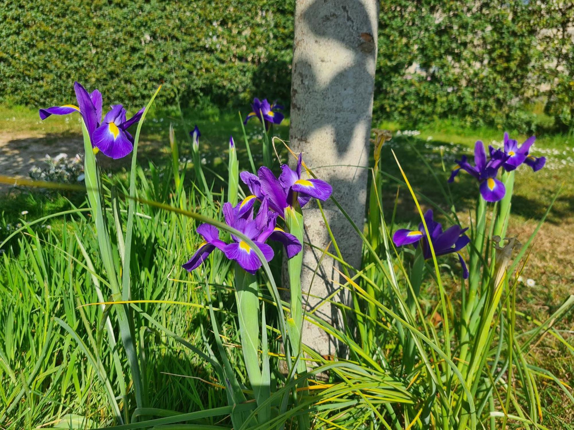 Bed and breakfast Ker Neizh Breizh - De Charme - Le Petit Chatelier Saint-Samson-sur-Rance