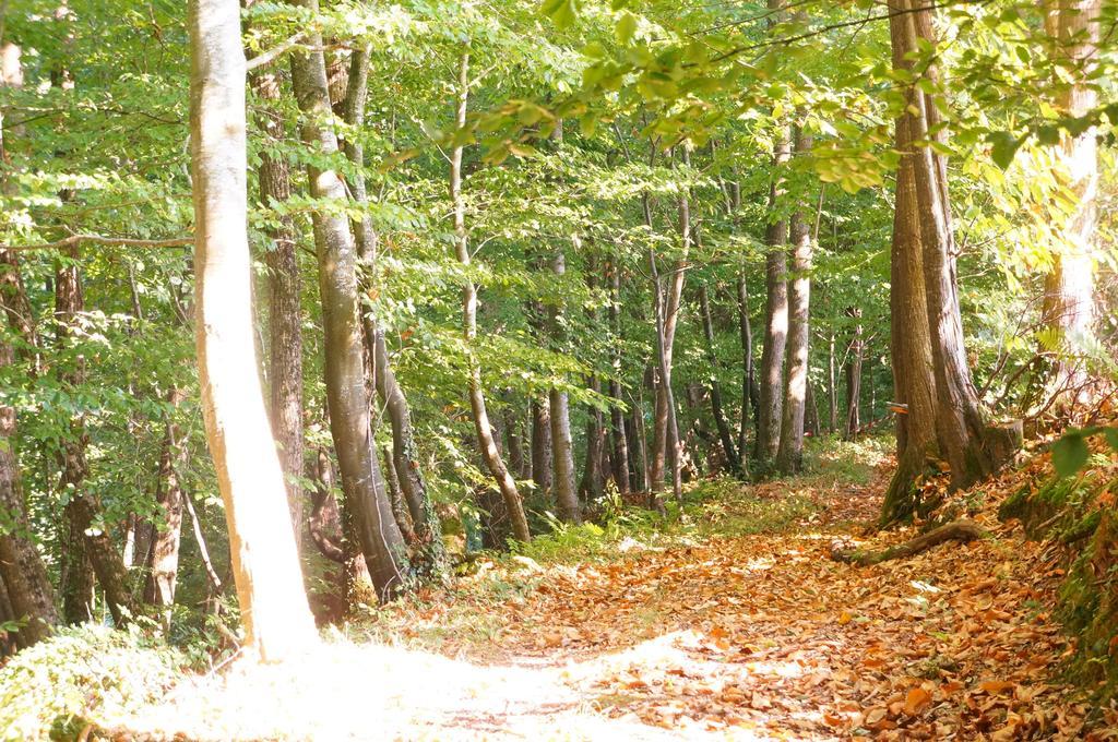 Bed and breakfast Ker Neizh Breizh - De Charme - Le Petit Chatelier *